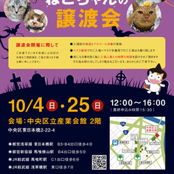 ねこざんまい譲渡会＠東日本橋