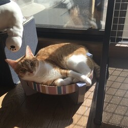 「もうすぐ一年」サムネイル1