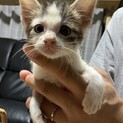元気いっぱい☆かわいいポパイくん