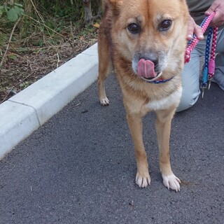 お迎えがこなかったです…なつっこいこ