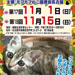 猫の譲渡会　in　名古屋市瑞穂区生涯学習センター