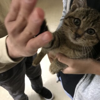 有難うございました。