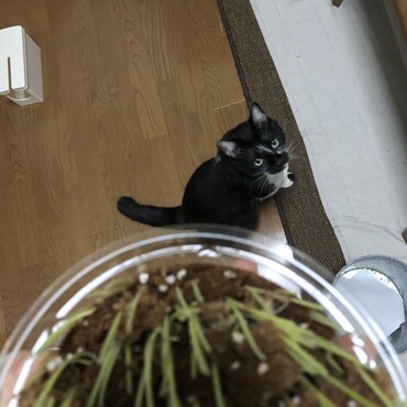 の写真