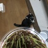 の写真