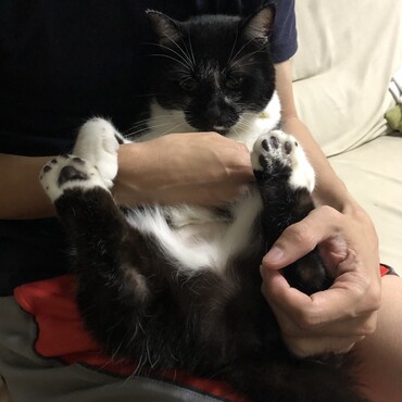 の写真