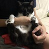 の写真