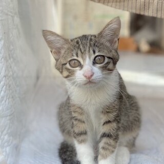 あざと可愛い♡うみちゃん