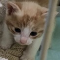 終了します！ありがとうございました^ - ^