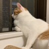 みーーーーーずん