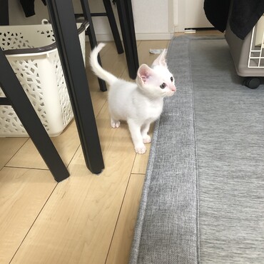 探索中