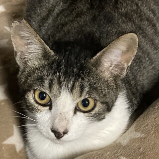 アイラインもバッチリ。THE☆美少年❣️ジョイくん