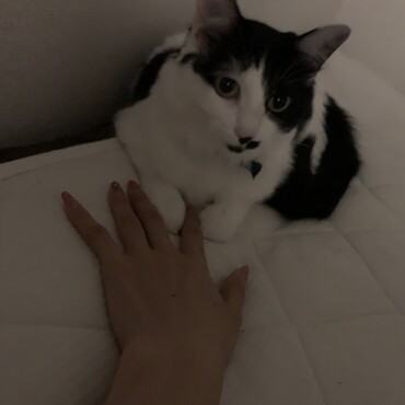の写真