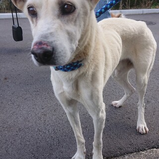 お迎えがきません