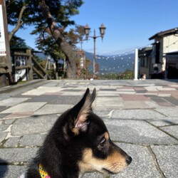旅行