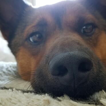 の写真