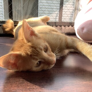 素敵な家族に出会いました