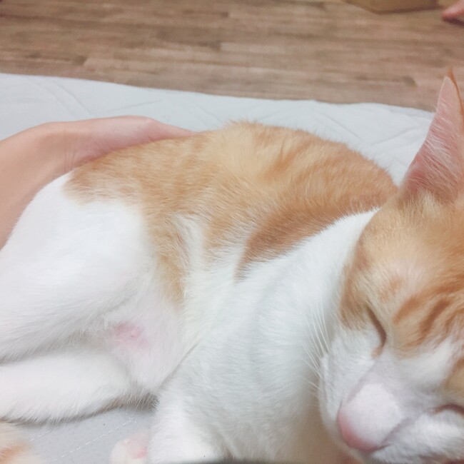 sa_02のカバー写真