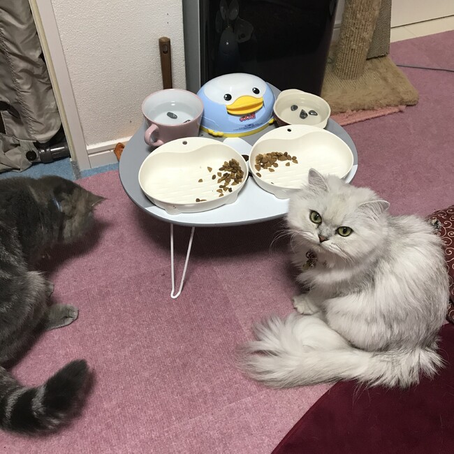 あおりんご☆彡.。のカバー写真