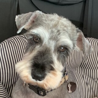 温和でマイペースな男の子♪