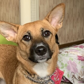 素敵な家族が出来ました！