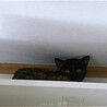 可愛いさび猫すずりちゃん サムネイル3