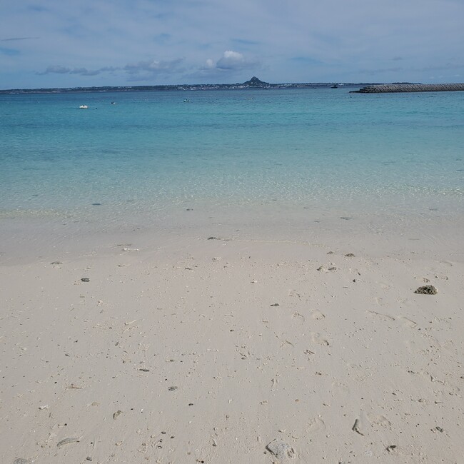 まっちゃん猫好きのカバー写真