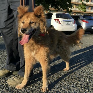 譲渡されました！！