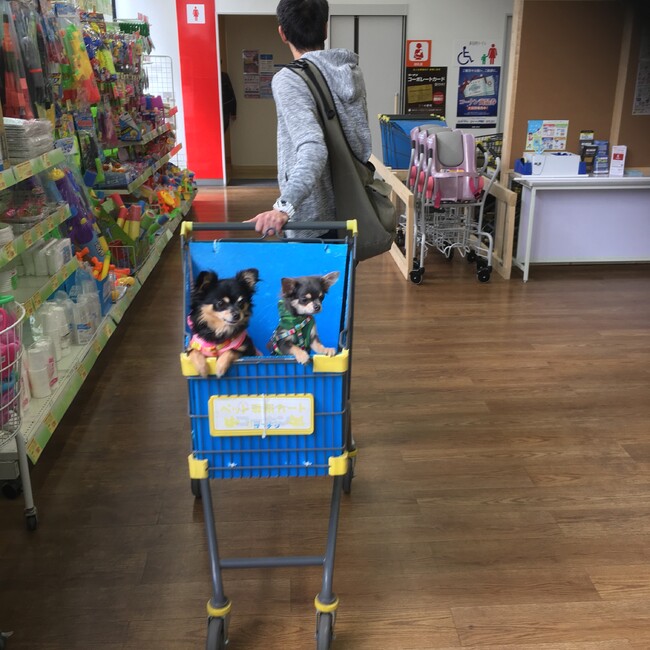 ミリったんのカバー写真