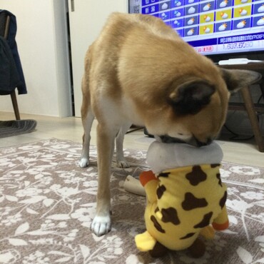 の写真