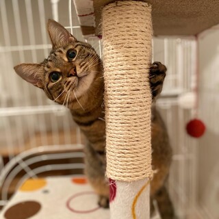 繊細な美少女。今度こそ幸せになりたい