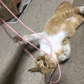 無事に決まりましたd(˙꒳​˙* )