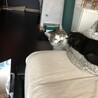 黒ちゃん、家族に仲間入り⸜(* ॑꒳ ॑*  )⸝
