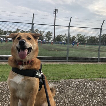 4歳になりました。