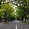 てるてるこうきち