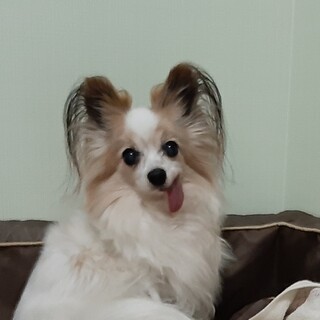 大人しくてお利口さんな、のんちゃん☆