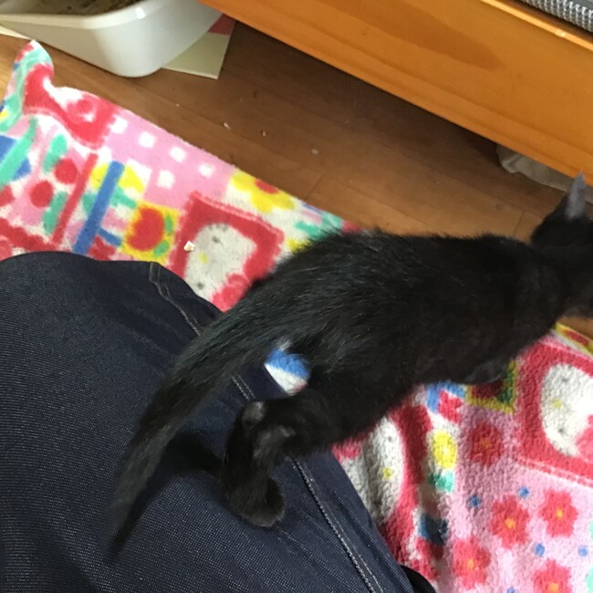 ゆうゆう123のカバー写真
