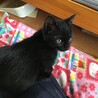 の写真