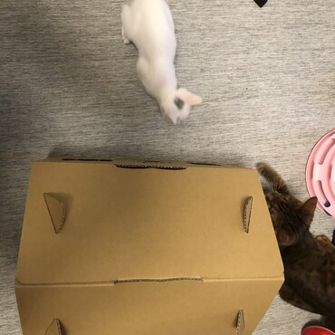 はじめて一緒に遊んだ！