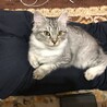 すっかり大人顔