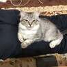おじーの側から離れません！