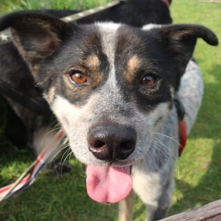 体力アップ完了！優しい甘えん坊男子たか