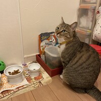 みい