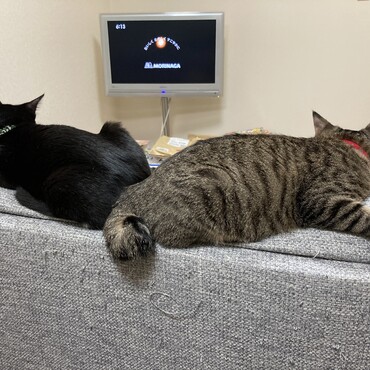 一緒にいます