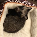 ありがとうございました！