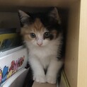 小さいけど頑張って生きてます！