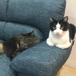 「ご無沙汰してます」サムネイル2