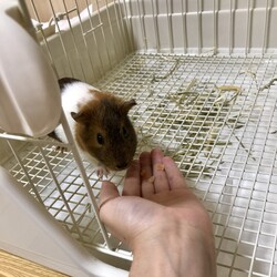 「ご無沙汰してます」サムネイル3