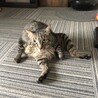顔が体と同化中（笑）