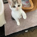 可愛いポポちゃん