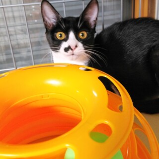 おっとり優しい女の子